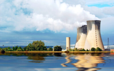 Modelling a scenario for an island network with nuclear option: case study