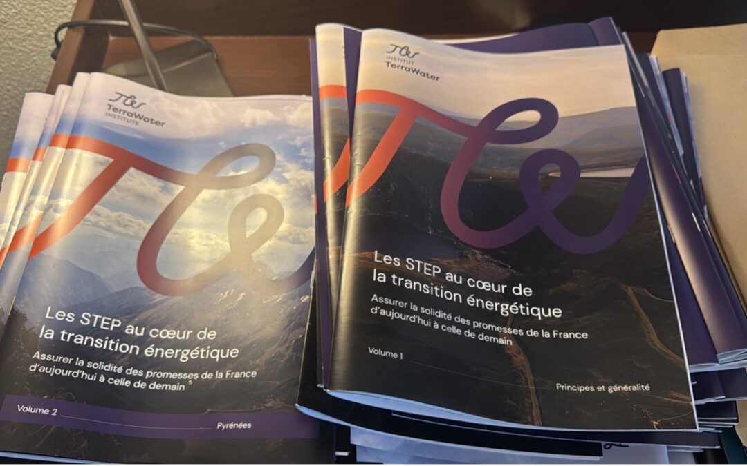Publication des deux premiers volumes du Rapport « les STEP au cœur de la transition énergétique » de l’Institut TerraWater
